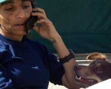 veterinaryadvisor.com Zammer