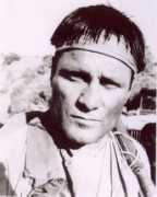 terenceknox.com Zanderson