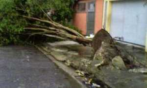 oglobo.globo.com Zanderson