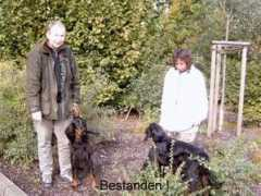 pointer-setter.de Zandle