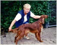 irish-setter-club.de Zandle