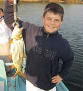 fishingmagic.com Zandre