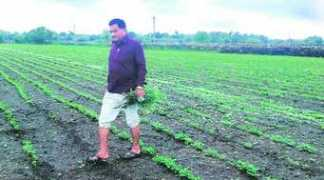 indianexpress.com Zankat