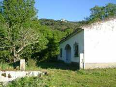 Zanona