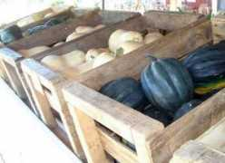 organicauthority.com Zantal