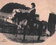 Zantar
