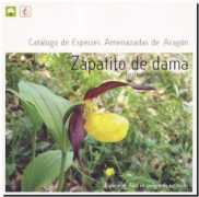 lygeum.es Zapatito