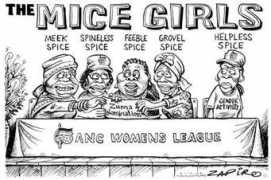 mg.co.za Zapiro