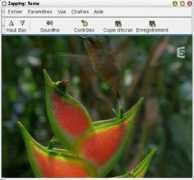 yagostini.free.fr Zapping