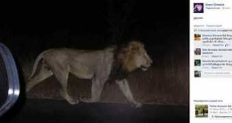 sputnik-georgia.ru Zaqro