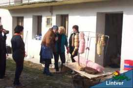 lintver.it Zaries