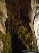 picturesofbulgaria.com Zarito