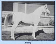 Zarouf