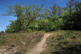 en.balcanica.info Zarska