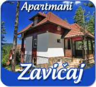 Zavicaj