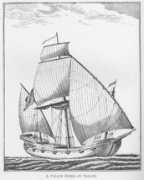 Zebek