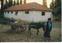 dalakci.de Zebik
