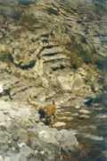 spocania.com Zeces