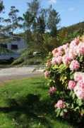 Zeehan