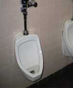 urinal.net Zeeks