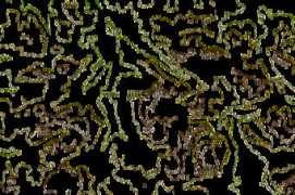 mountain-forecast.com Zehner