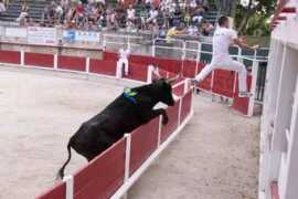 coursecamarguaise.midiblogs.com Zekraoui