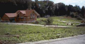 Zelber