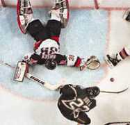 tartcider.com Zelkovich