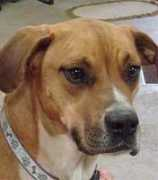 ktk9.com Zellda
