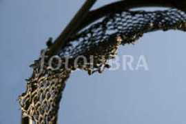 fotolibra.com Zemite