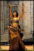 gildedserpent.com Zenaide