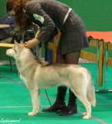 Zenar