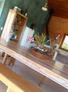 terracor.com.br Zenaro