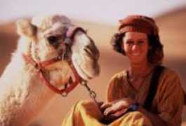 Zenoubia