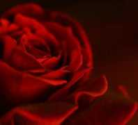 thewallpapers.us Zerafet
