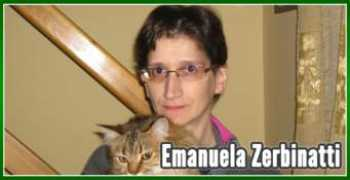 bauboys.tv Zerbinatti