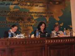 un.org Zerdani