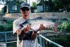 fish-news.teia.org Zereh