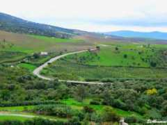 Zerhoun