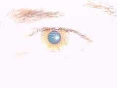 seekthetruth.org Zeye