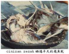 Zezak