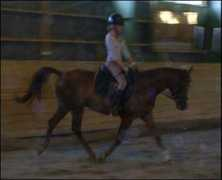 mix.hestemarked.no Zhahir
