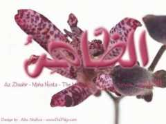 ilma95.net Zhahir