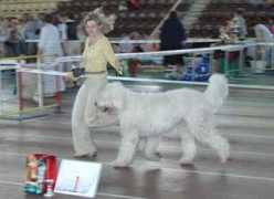 nkpkomondor.narod.ru Zhander