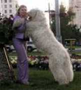 nkpkomondor.narod.ru Zhanik