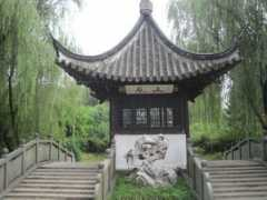 nsfjq.com Zhaoyin