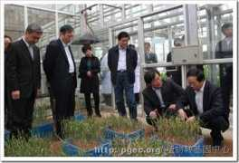 pgec.org Zhaoyong