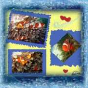 scrapbookflair.com Zharif