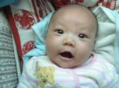 poke.petkoo.com Zhengliang