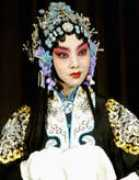 yule.sohu.com Zhengxiao